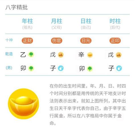 辛金命男|八字十天干詳解——辛金